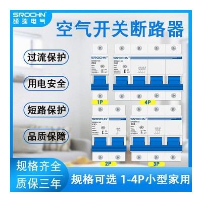 硕瑞厂家电闸1P2P3P4P小型断路器家用40A60A总闸断电 空气开关