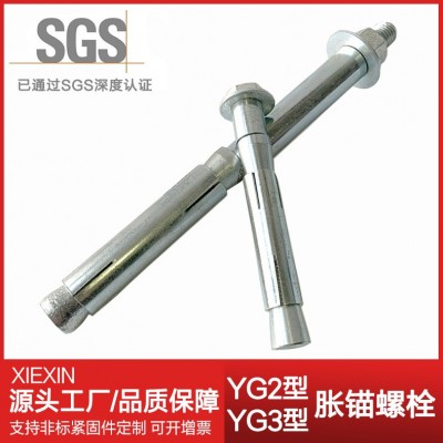 源头工厂 YG2重型膨胀螺栓 地铁胀锚螺栓 隧道高铁锚栓 现货YG3