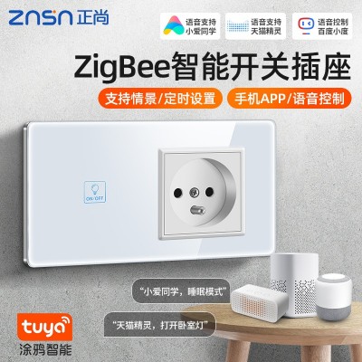 正尚C8涂鸦Zigbee触摸80欧规智能开关语音音响alexa Google开关 1只